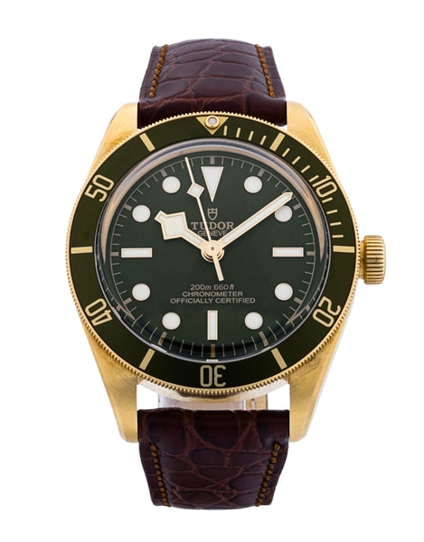 Tudor Black Bay 58 M79018V-0001